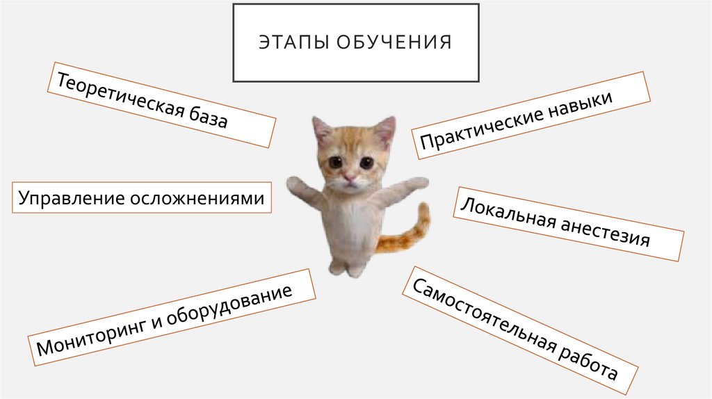 Этапы обучения