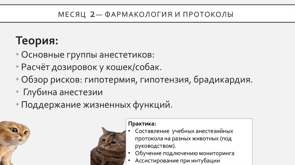 Месяц 2— Фармакология и протоколы