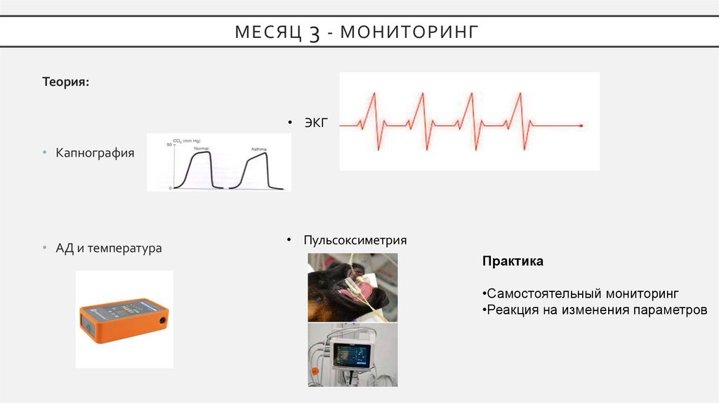 Месяц 3 - Мониторинг