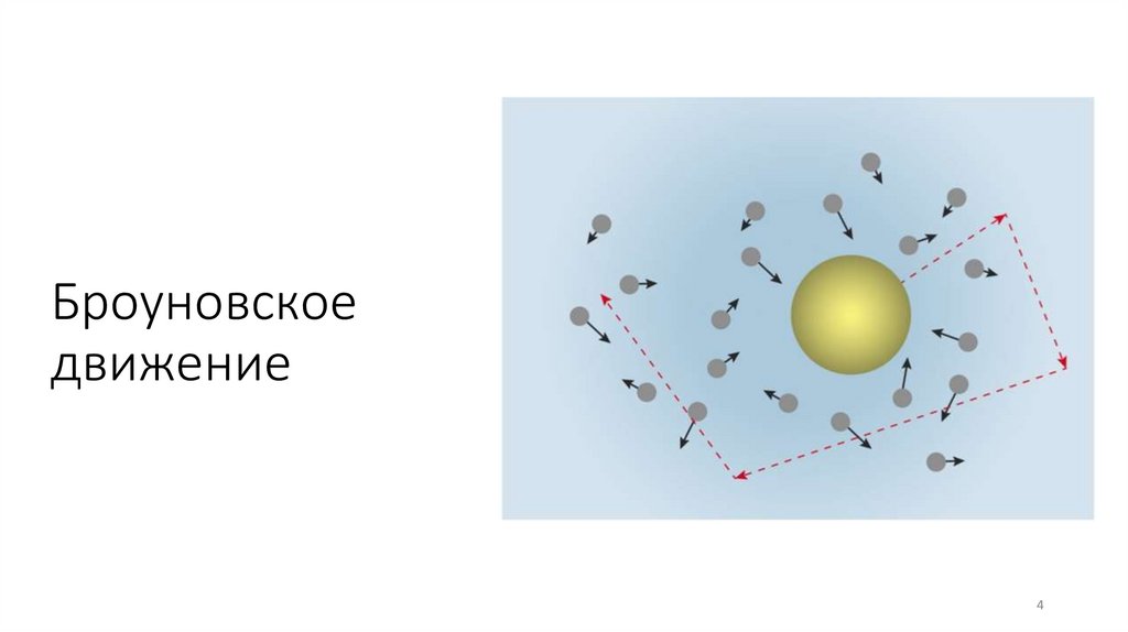 Броуновское движение