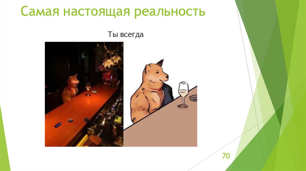 Самая настоящая реальность