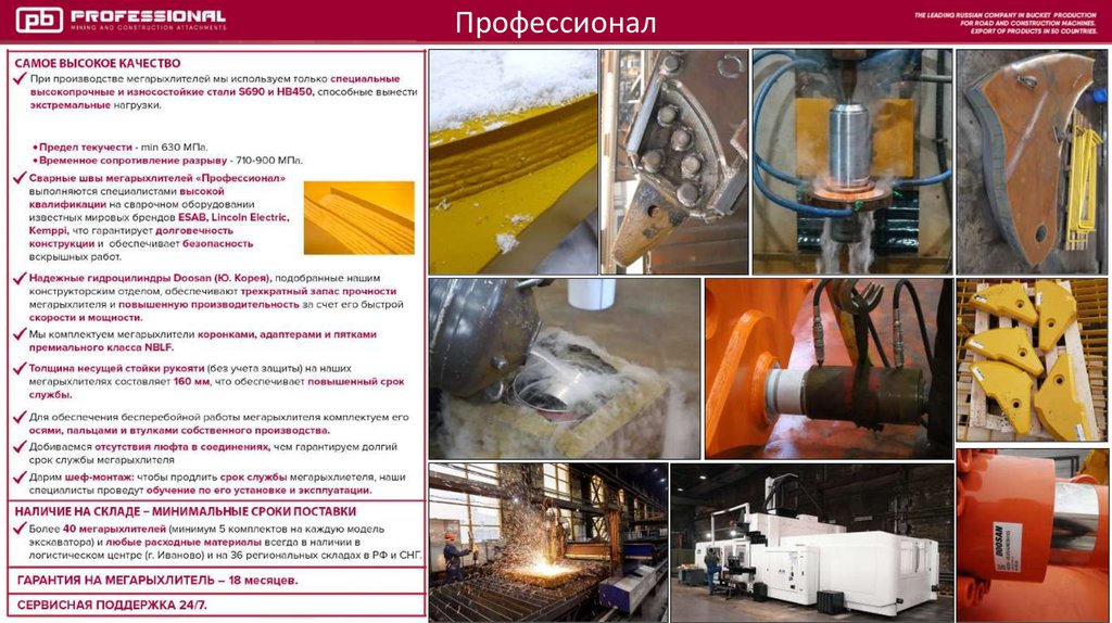 Профессионал