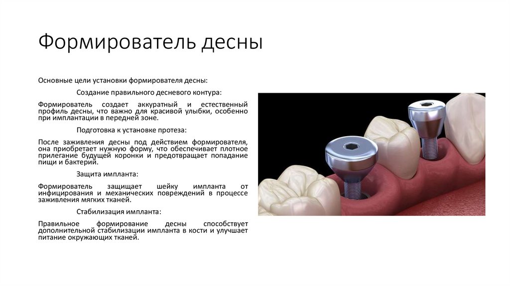 Формирователь десны