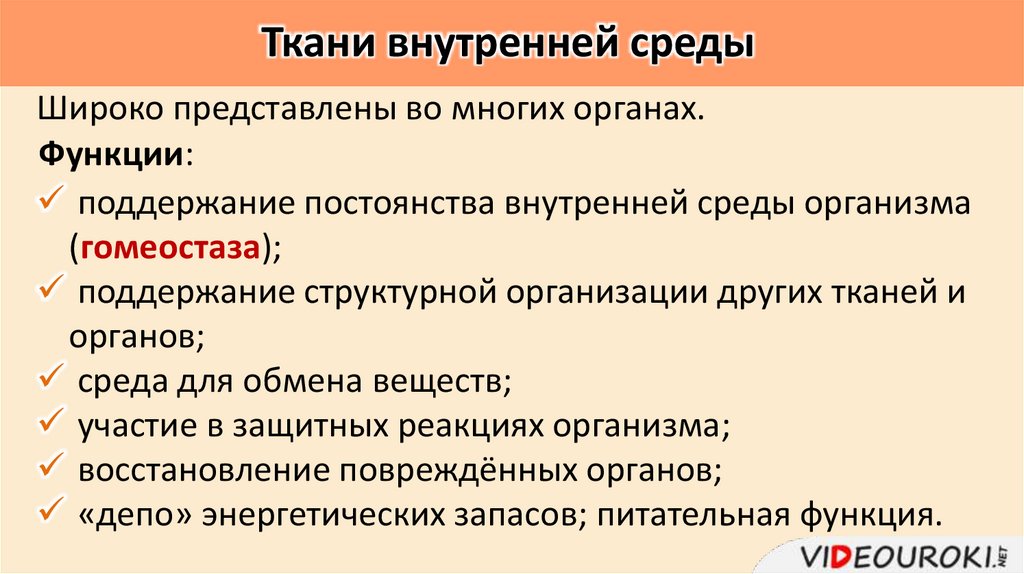 Ткани внутренней среды