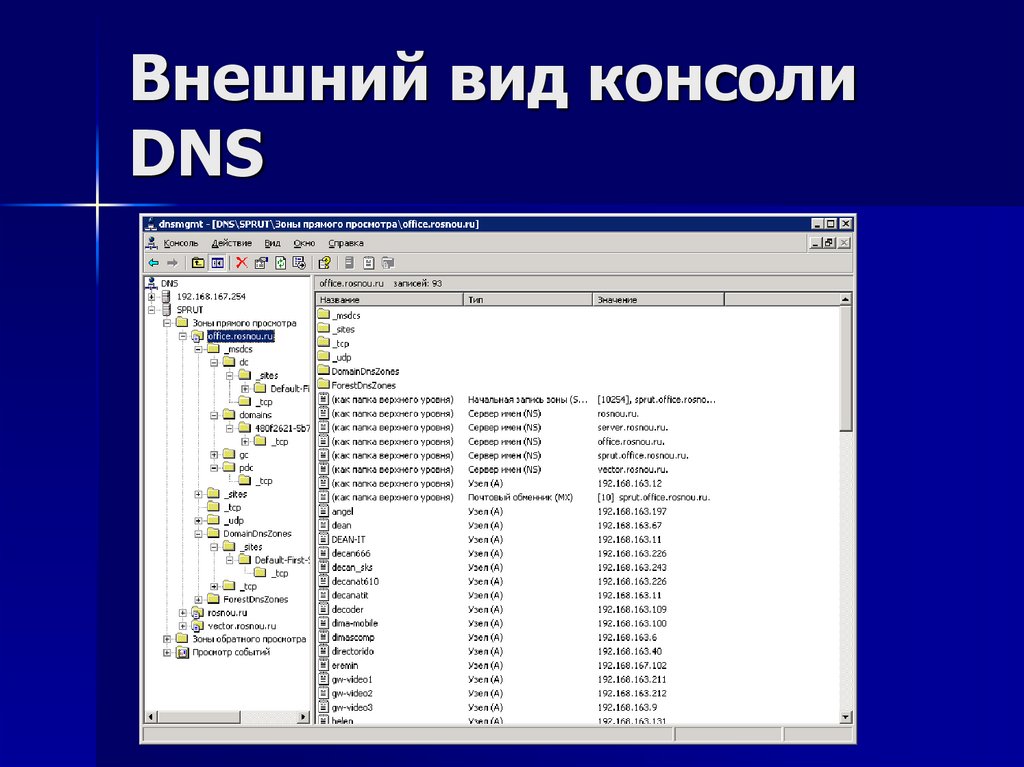 Внешний вид консоли DNS