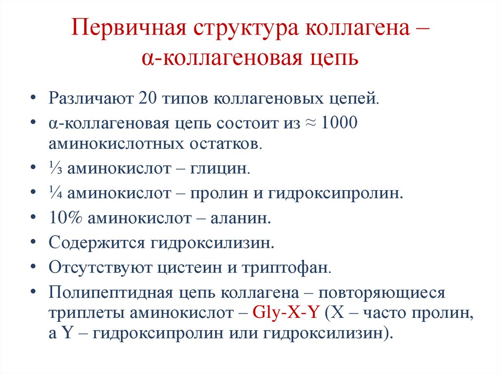Первичная структура коллагена – α-коллагеновая цепь
