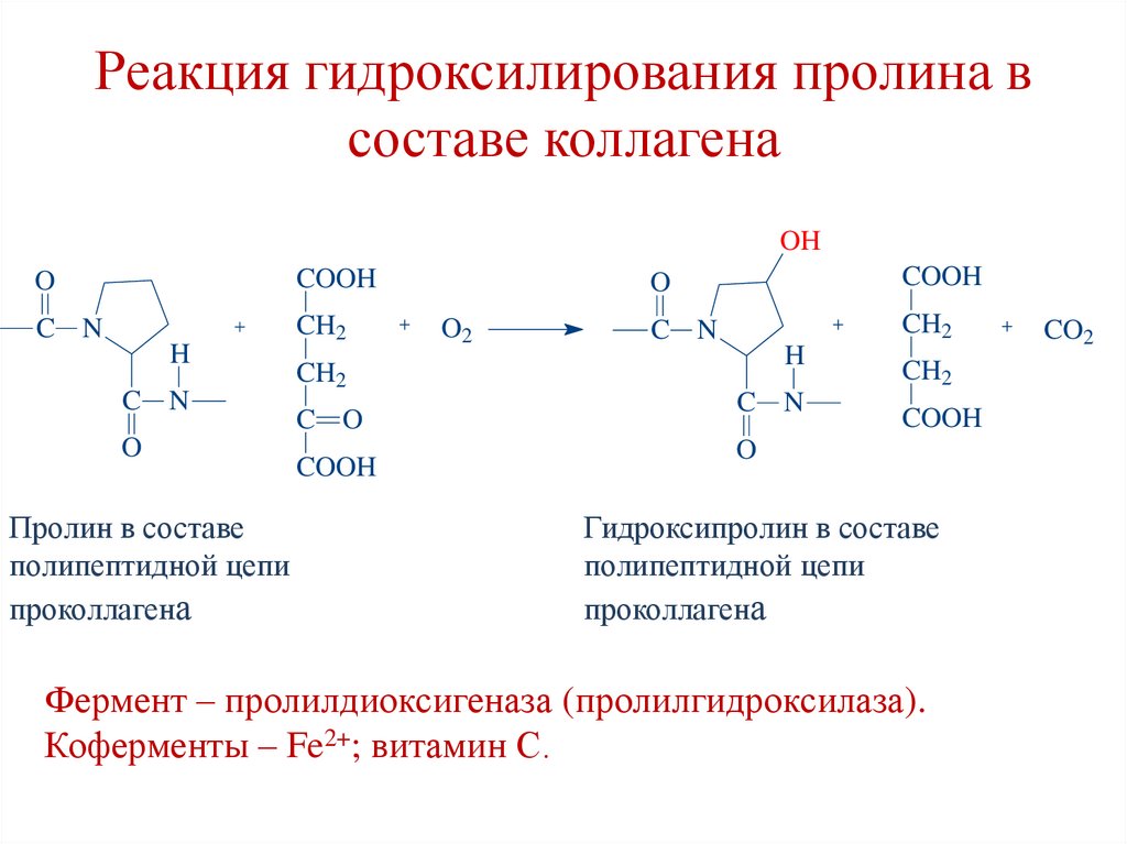 Реакция гидроксилирования пролина в составе коллагена