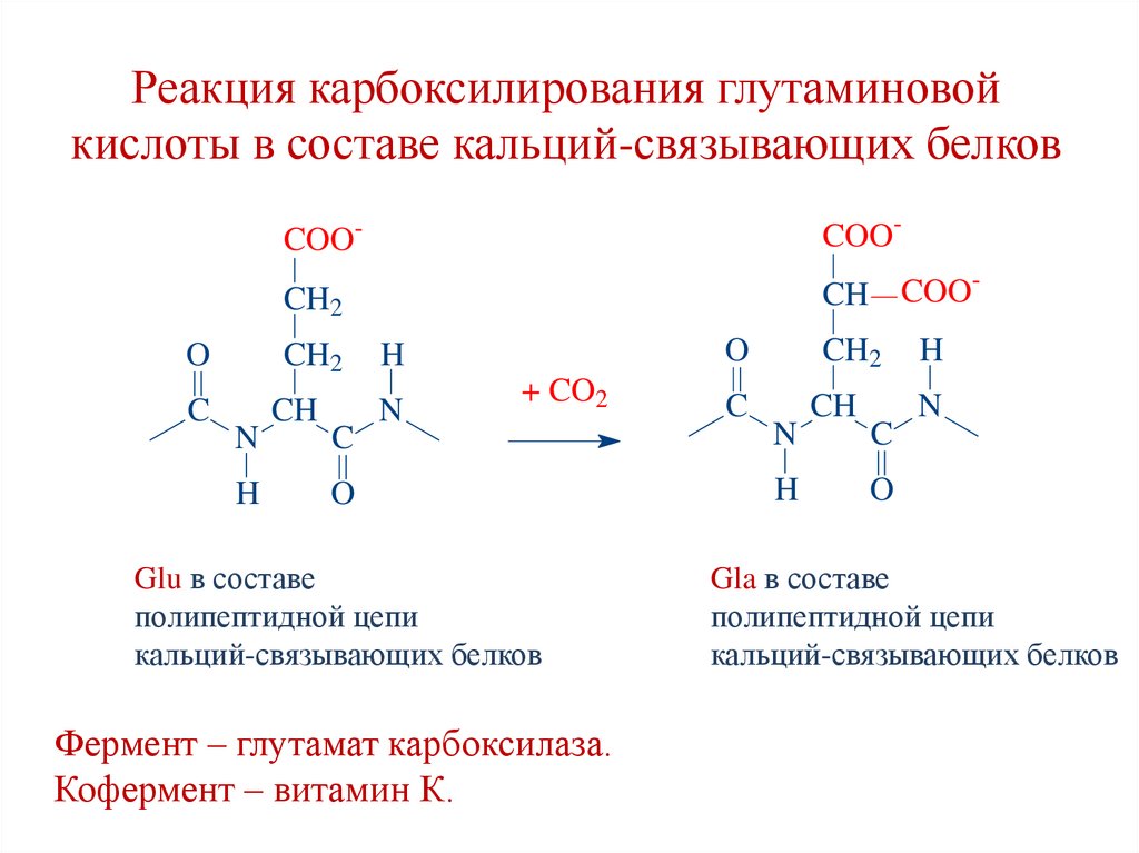 Реакция карбоксилирования глутаминовой кислоты в составе кальций-связывающих белков