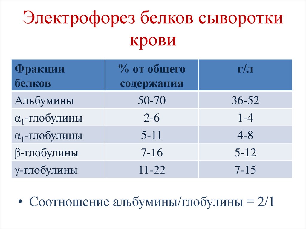Электрофорез белков сыворотки крови