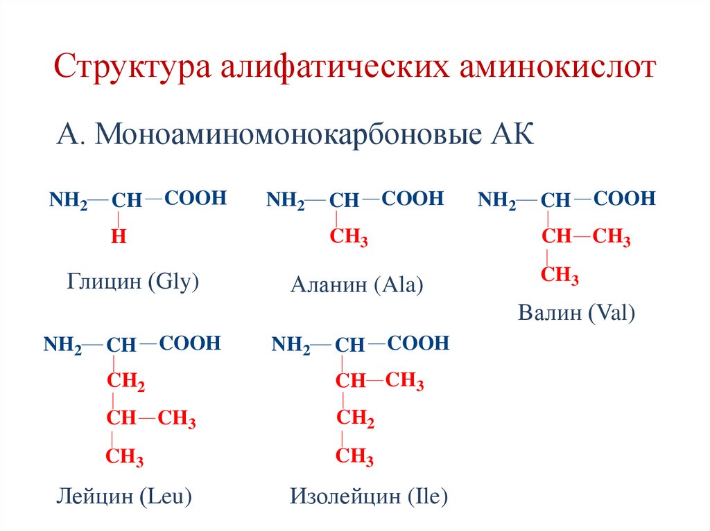 Структура алифатических аминокислот