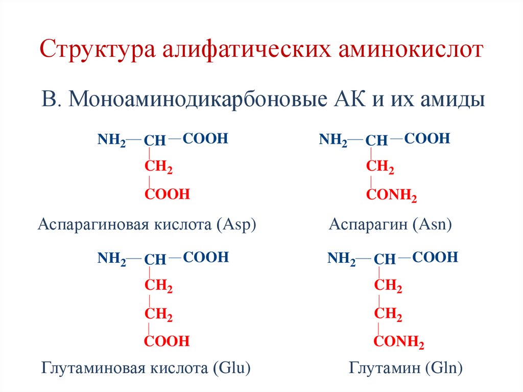 Структура алифатических аминокислот