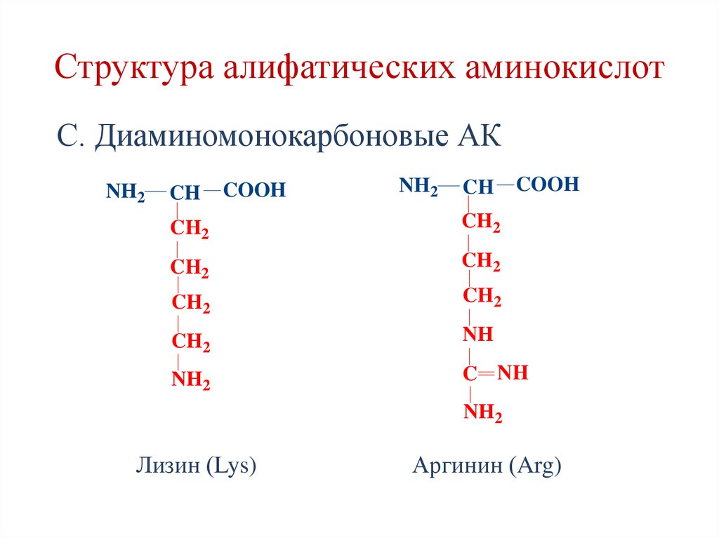 Структура алифатических аминокислот