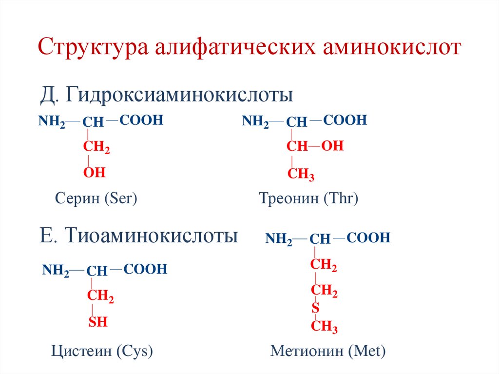 Структура алифатических аминокислот