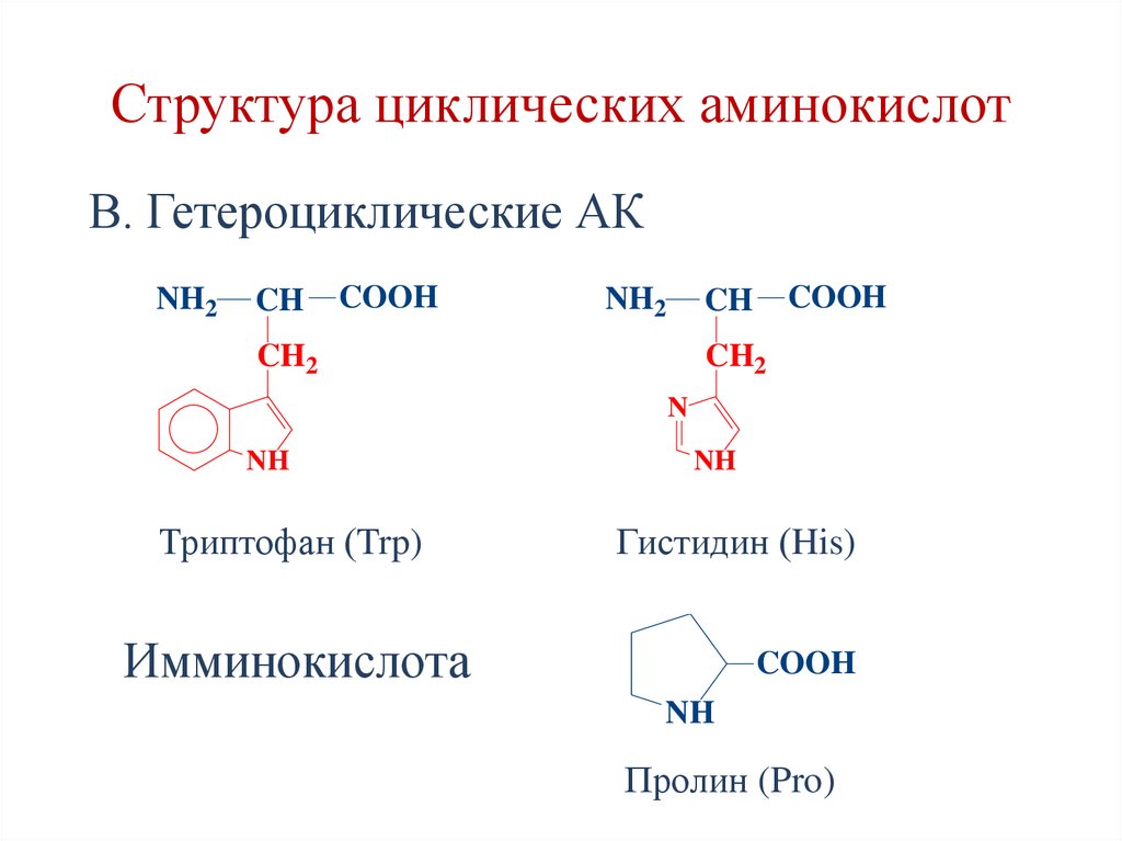 Структура циклических аминокислот