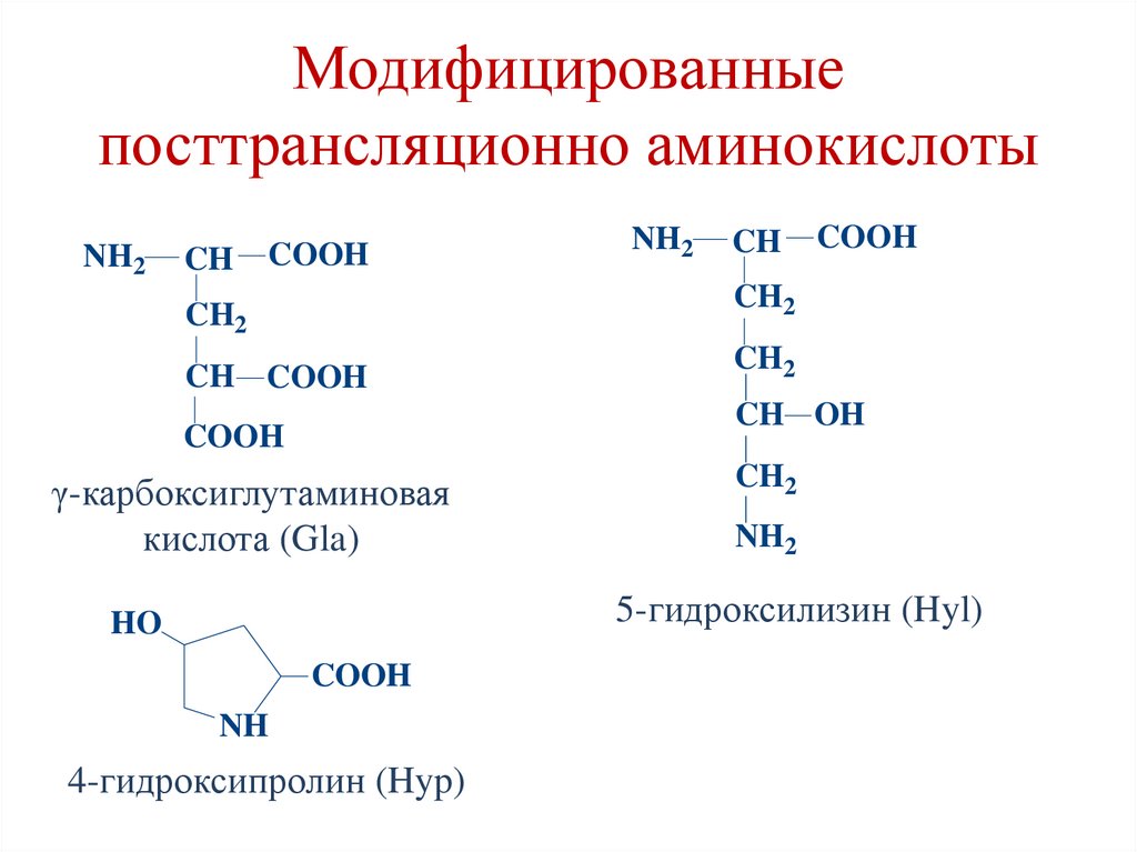 Модифицированные посттрансляционно аминокислоты