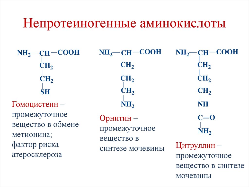 Непротеиногенные аминокислоты