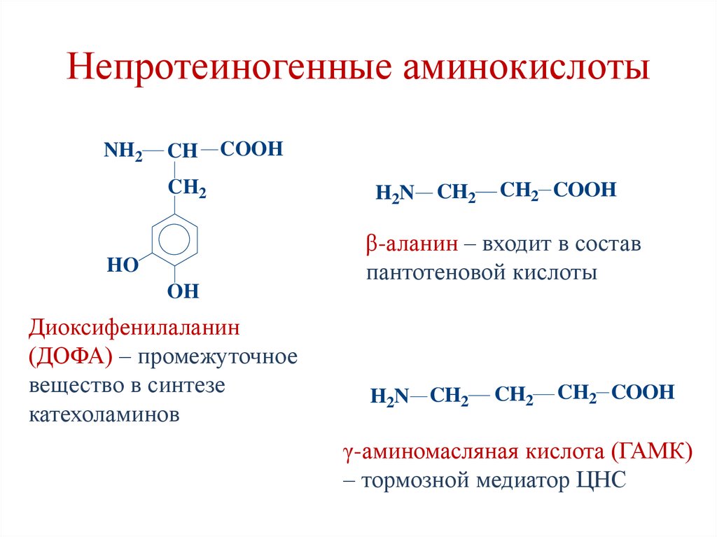 Непротеиногенные аминокислоты