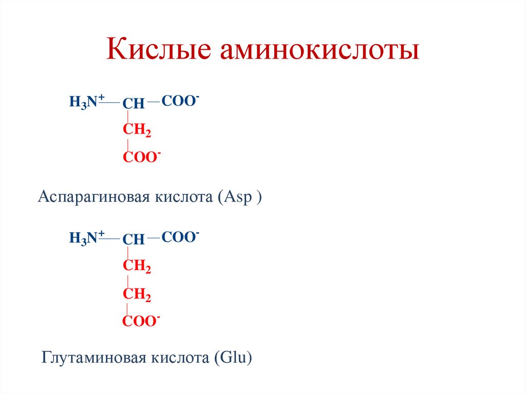 Кислые аминокислоты