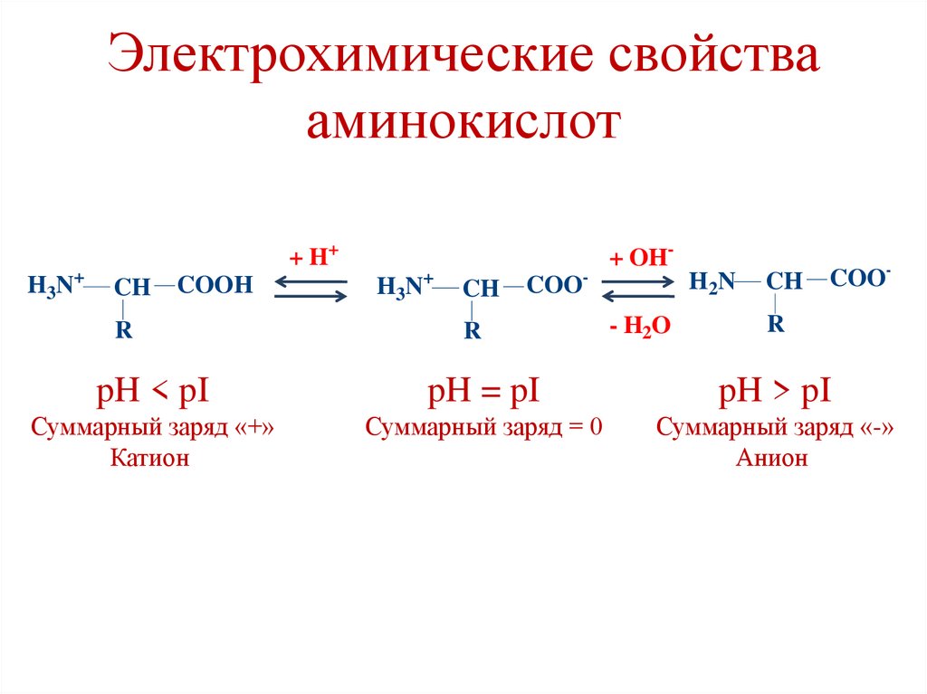Электрохимические свойства аминокислот