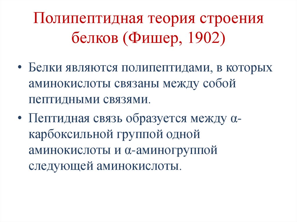 Полипептидная теория строения белков (Фишер, 1902)