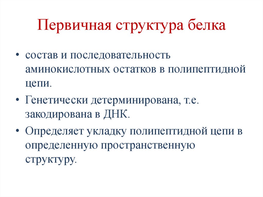 Первичная структура белка