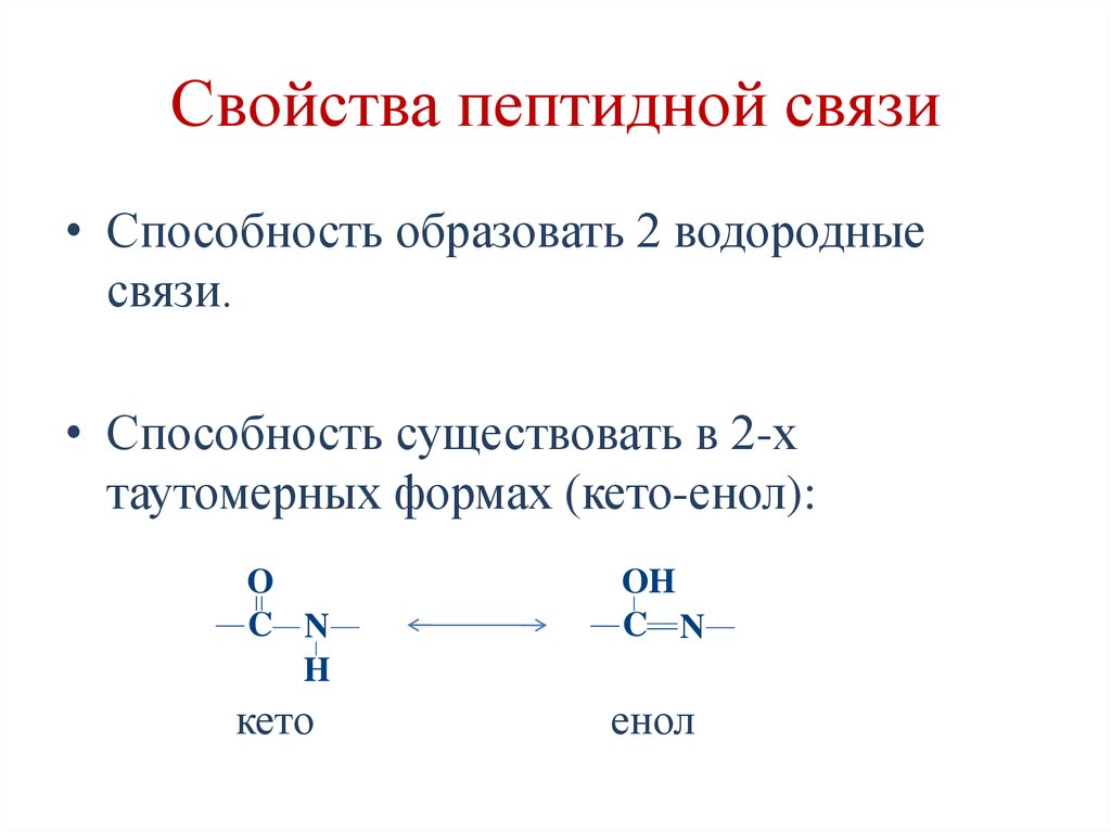 Свойства пептидной связи