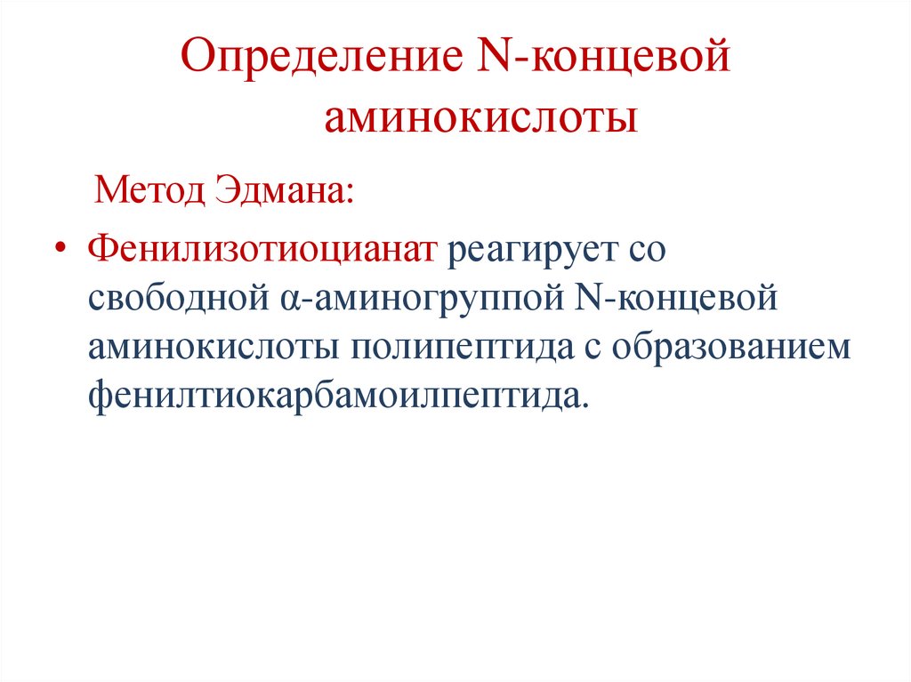Определение N-концевой аминокислоты