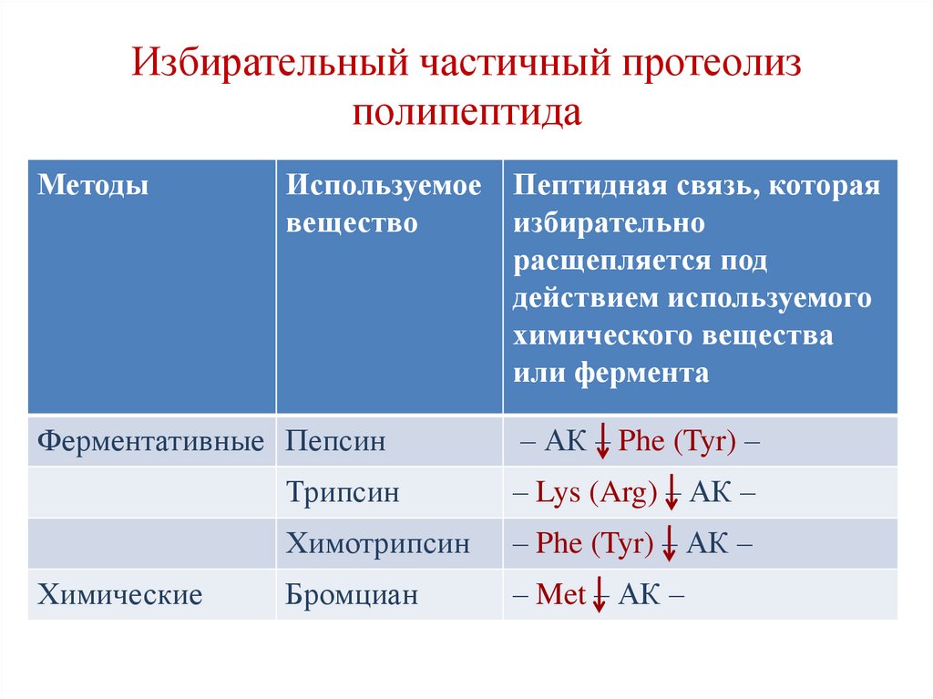 Избирательный частичный протеолиз полипептида