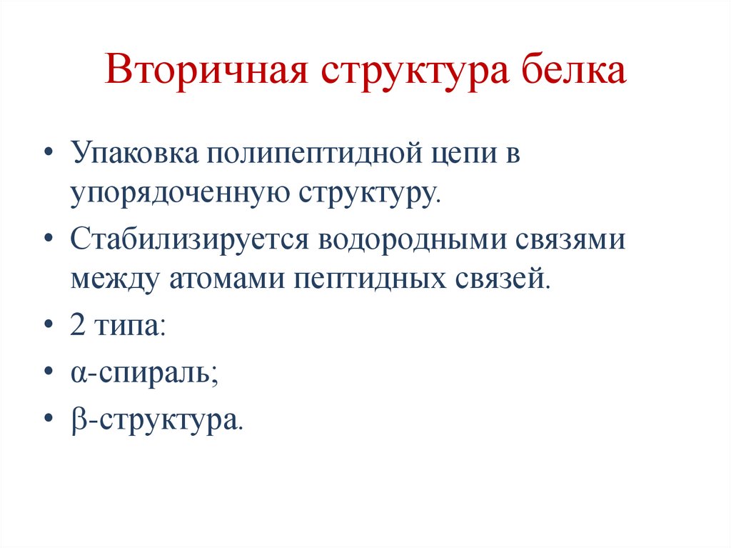 Вторичная структура белка