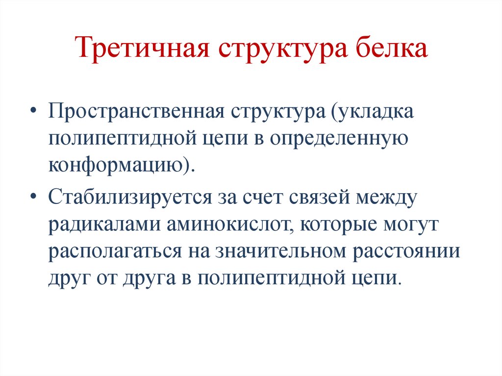 Третичная структура белка