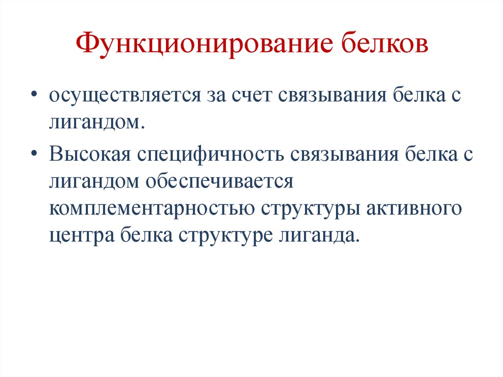 Функционирование белков