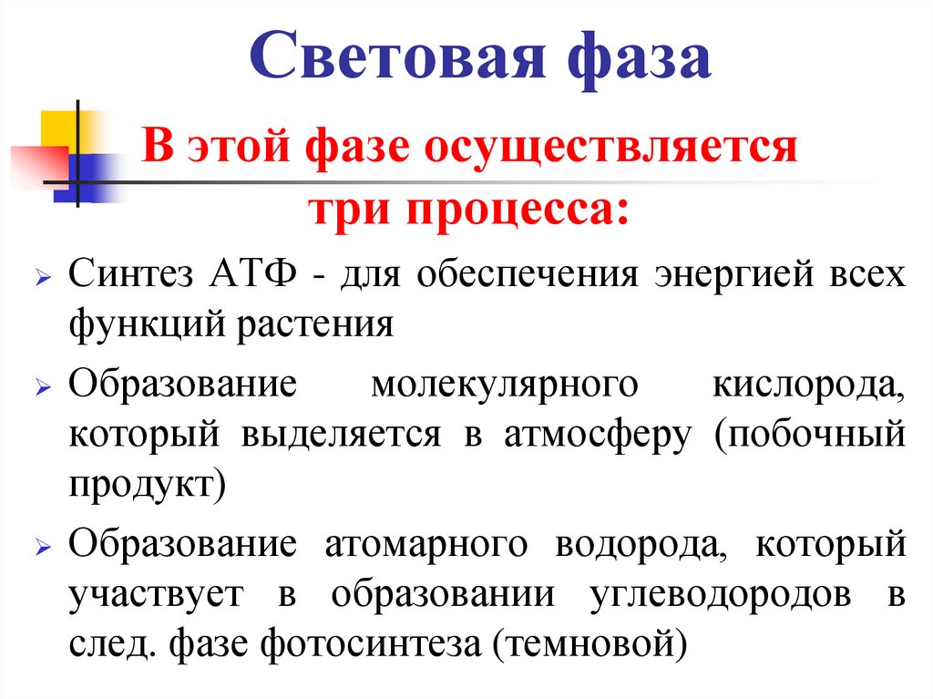 Световая фаза