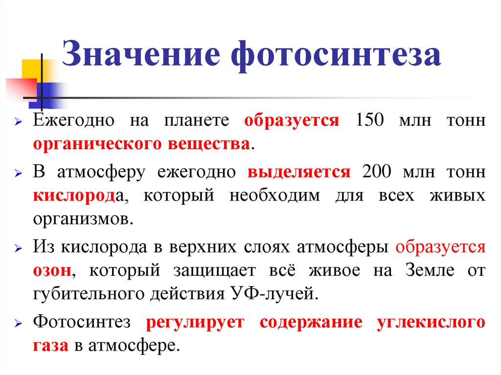 Значение фотосинтеза