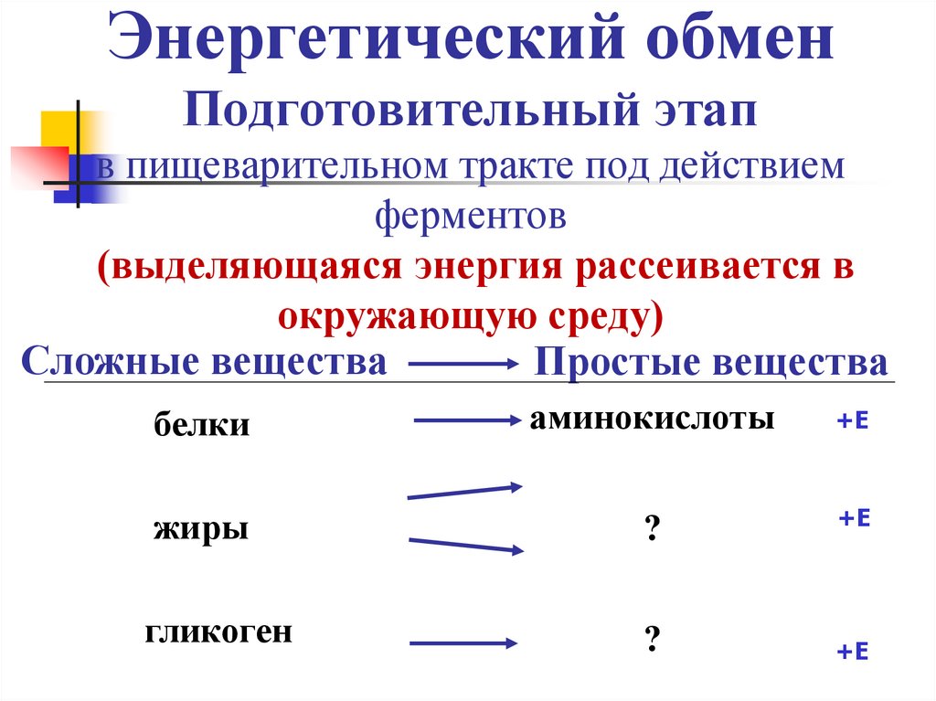 Энергетический обмен Подготовительный этап в пищеварительном тракте под действием ферментов (выделяющаяся энергия рассеивается