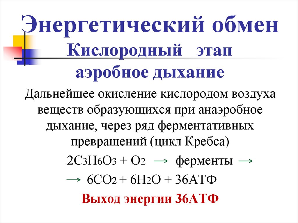 Энергетический обмен Кислородный этап аэробное дыхание