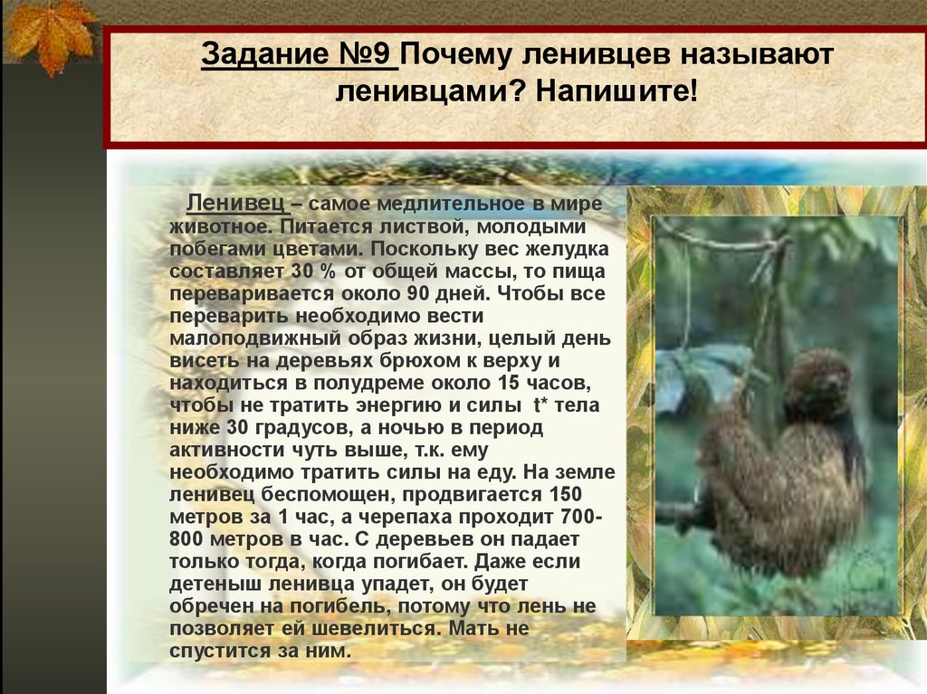 Задание №9 Почему ленивцев называют ленивцами? Напишите!