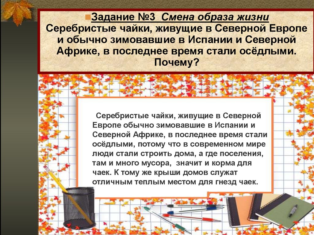 Задание №3 Смена образа жизни Серебристые чайки, живущие в Северной Европе и обычно зимовавшие в Испании и Северной Африке, в