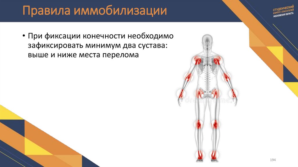 Правила иммобилизации