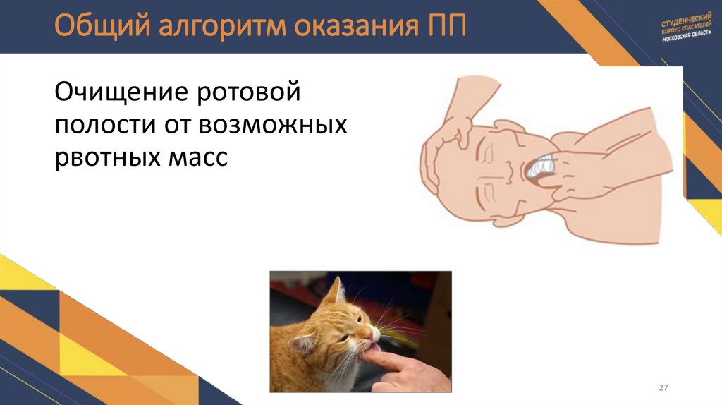 Общий алгоритм оказания ПП