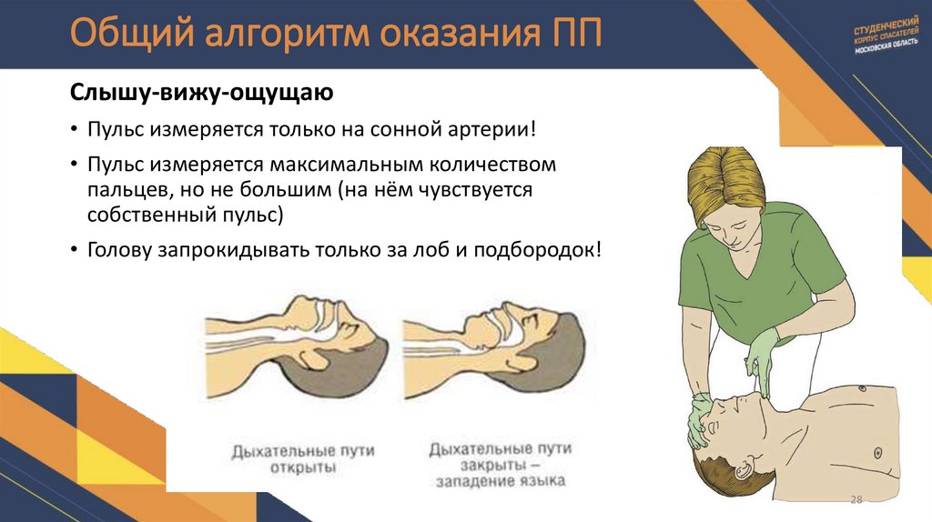 Общий алгоритм оказания ПП