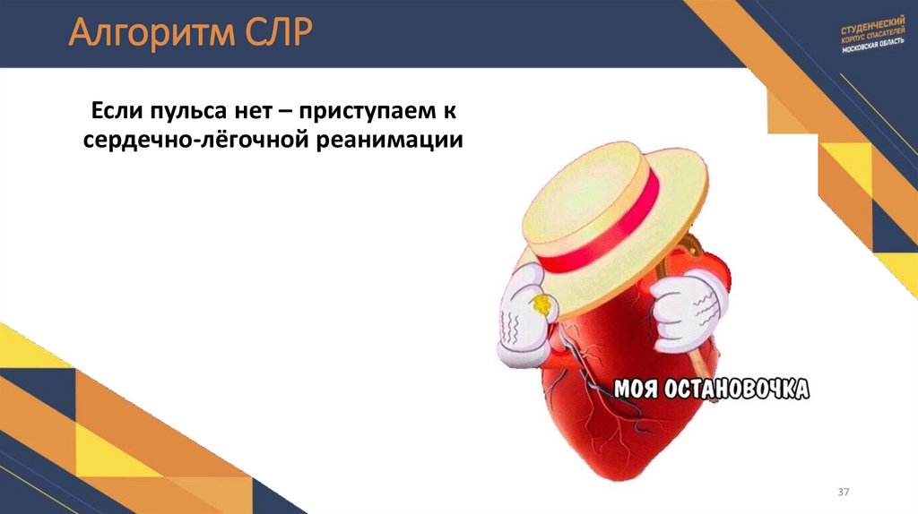 Алгоритм СЛР