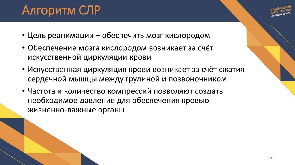 Алгоритм СЛР