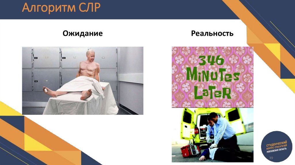 Алгоритм СЛР