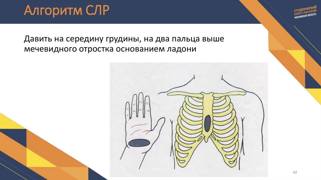 Алгоритм СЛР