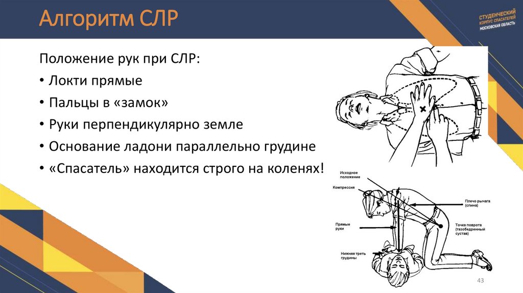 Алгоритм СЛР