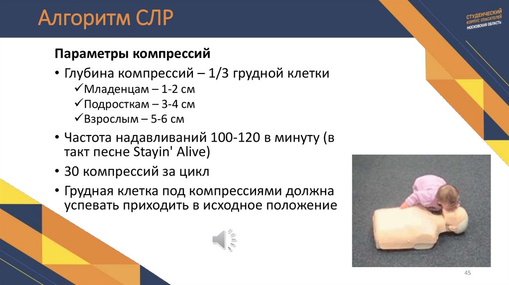 Алгоритм СЛР