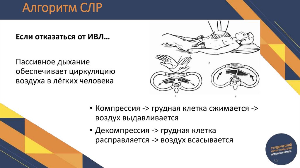 Алгоритм СЛР