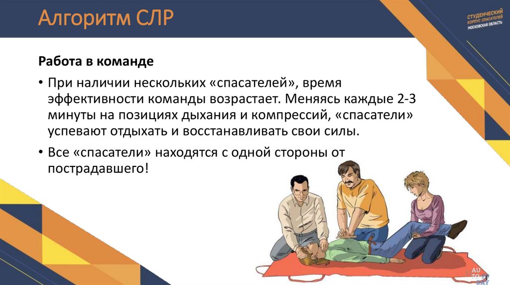 Алгоритм СЛР