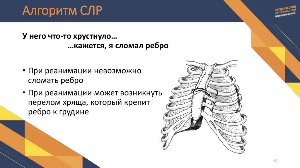 Алгоритм СЛР