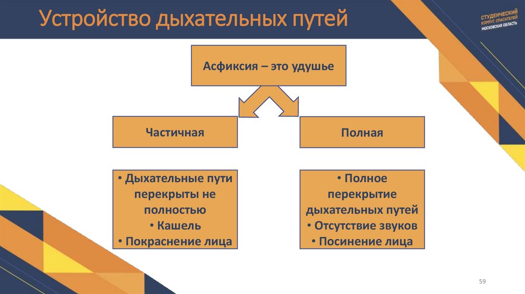 Устройство дыхательных путей
